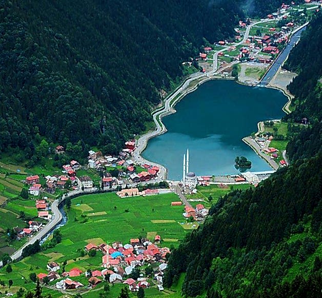 greenbursa.jpg