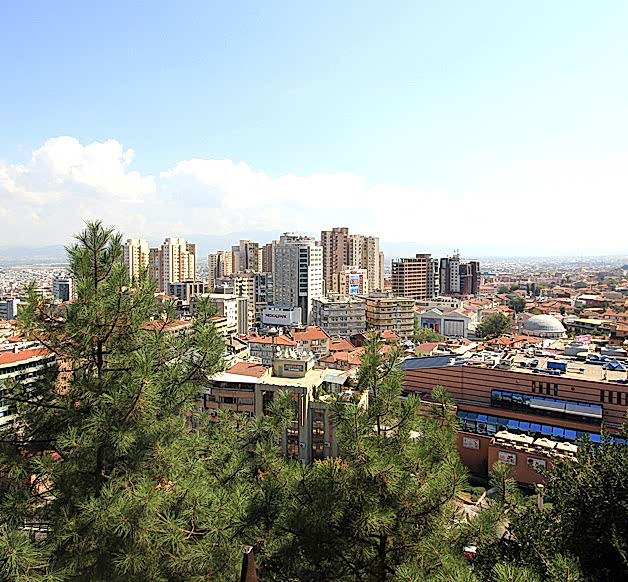 greenbursa2.jpg